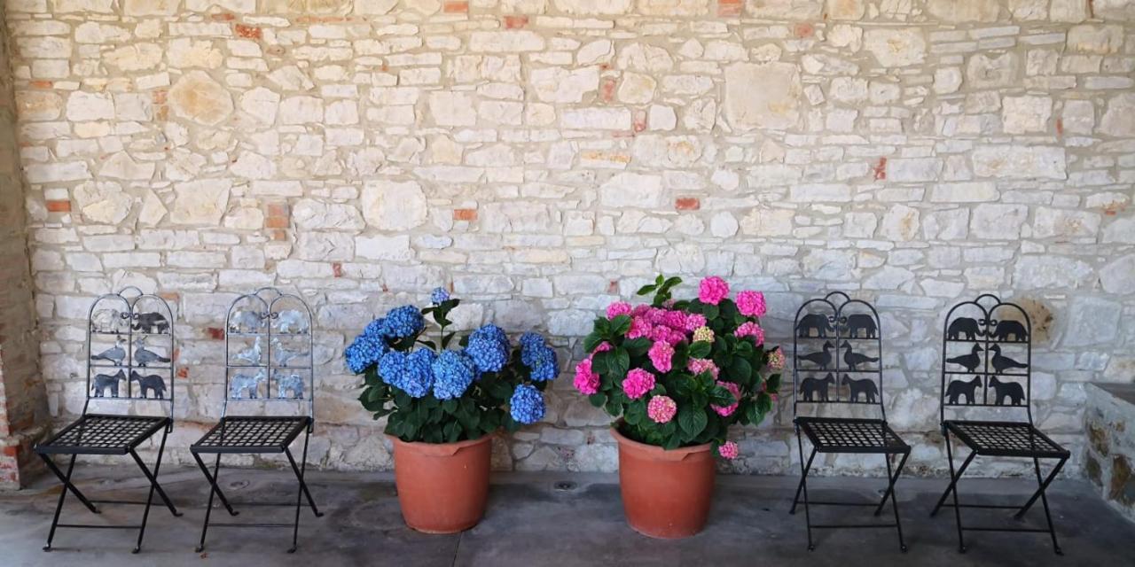 Villa Agriturismo Agronauta à Piozzano Extérieur photo