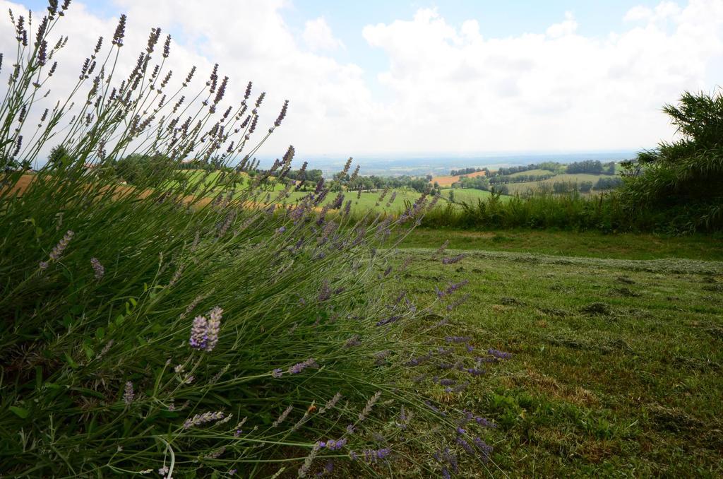 Villa Agriturismo Agronauta à Piozzano Extérieur photo